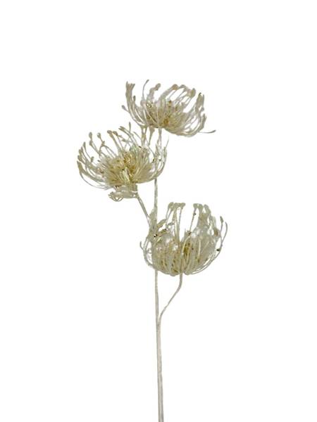 Gałązka dekoracyjna 67 cm perłowa