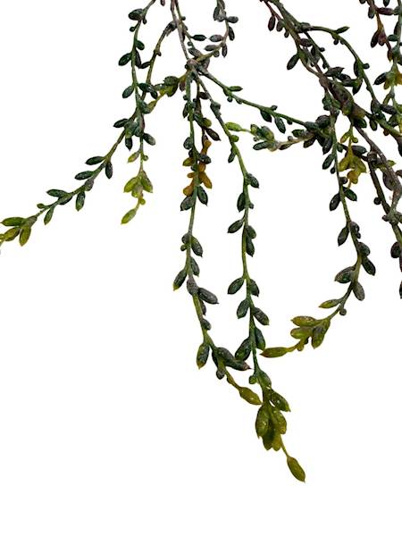 Tilancja zwis 102 cm kolorowa