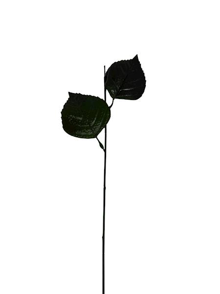 Łodyga do hortensji 63 cm