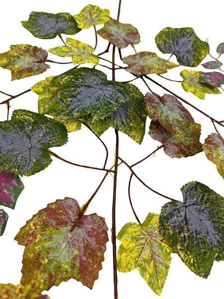 Liść winogrona 72 cm zielony i brąz