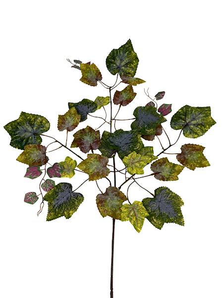 Liść winogrona 72 cm zielony i brąz
