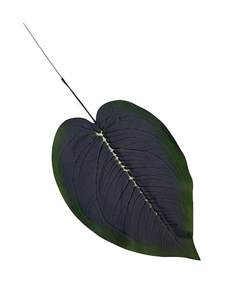 Liść difenbafia 47 cm