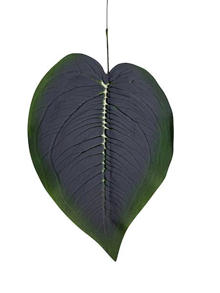 Liść difenbafia 47 cm