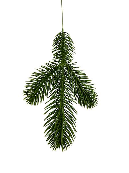 Jodła gałązka 32 cm