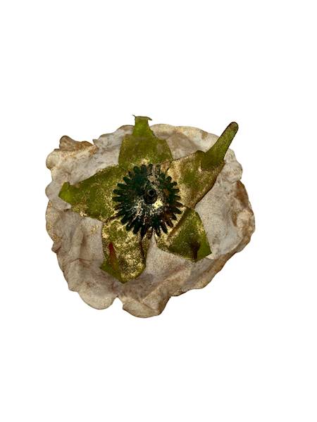 Róża pozłacana główka 9 cm beż