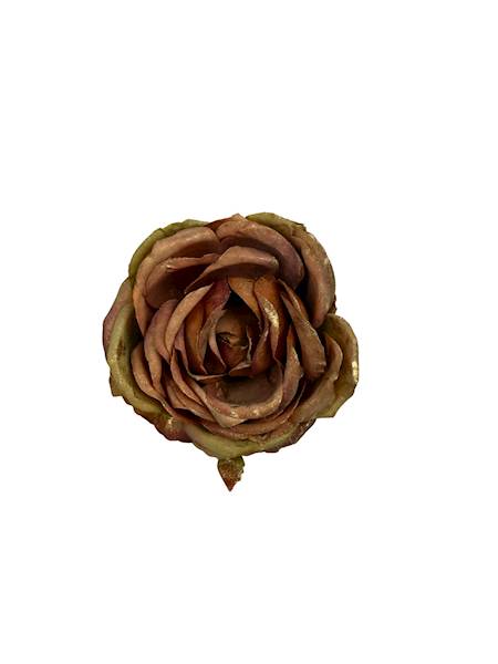 Róża pozłacana główka 9 cm herbaciana z zielonym