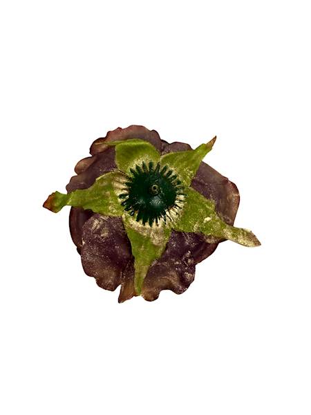 Róża pozłacana główka 9 cm brąz z zielonym