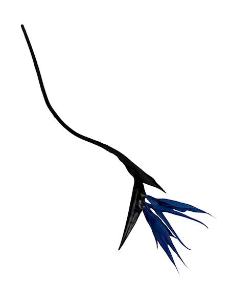 Strelicja rajski ptak 84 cm niebieska