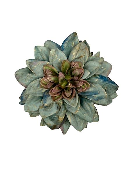 Dalia główka pozłacana 15 cm morska