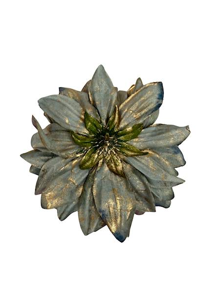 Dalia główka pozłacana 15 cm morska