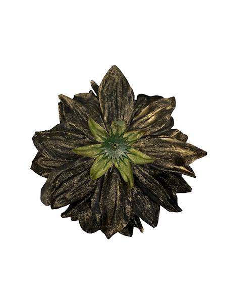 Dalia główka pozłacana 15 cm czarna