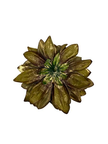Dalia główka pozłacana 15 cm brudny zielony