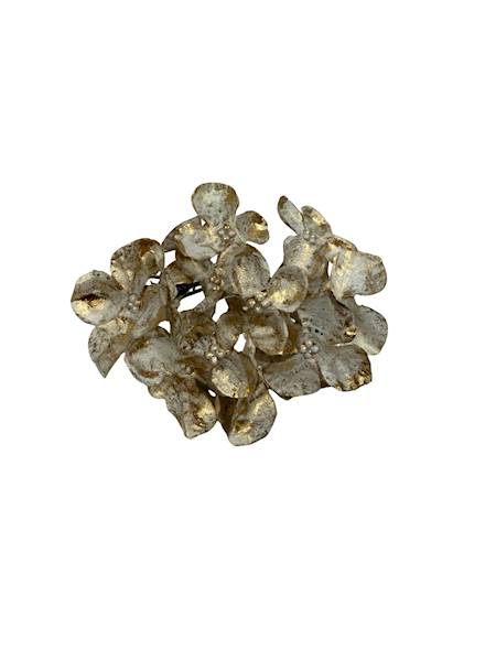 Hortensja pozłacana 8 cm beż