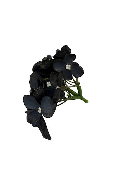 Hortensja pozłacana 8 cm czarna