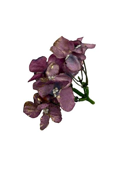 Hortensja pozłacana 8 cm fiolet