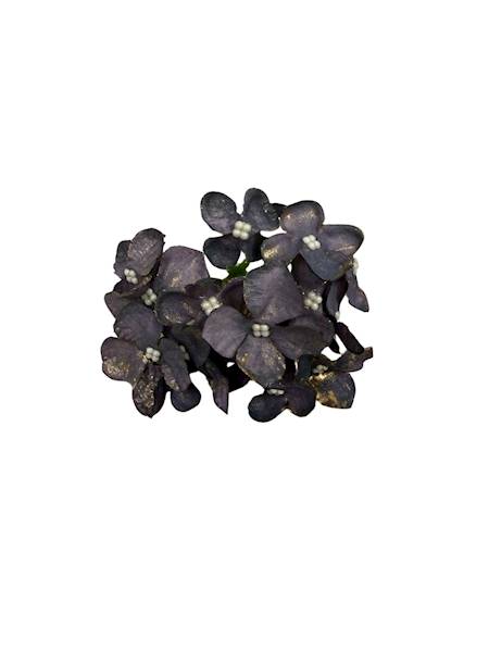 Hortensja pozłacana 8 cm ciemny fiolet