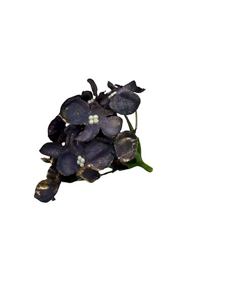 Hortensja pozłacana 8 cm ciemny fiolet