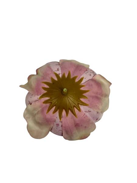 Piwonia główka 9 cm jasny róż