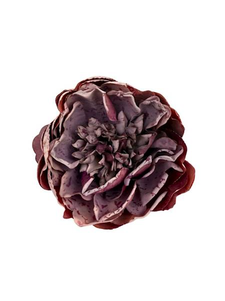 Piwonia główka 9 cm brudny róż