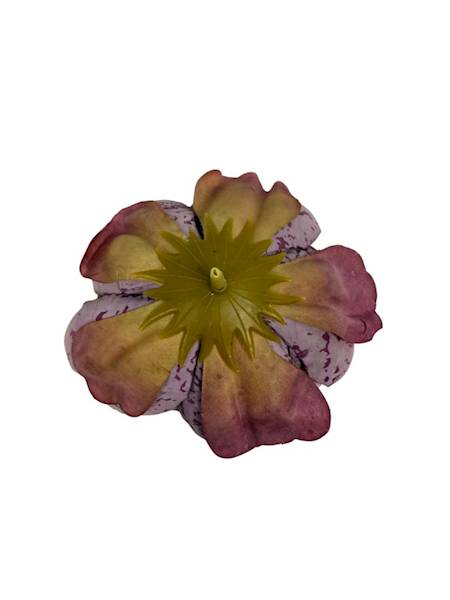 Piwonia główka 9 cm brudny róż