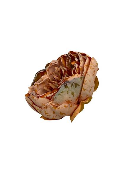 Piwonia główka 9 cm pomarańcz