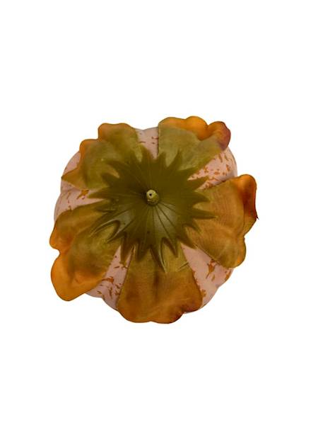 Piwonia główka 9 cm pomarańcz