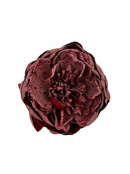 Piwonia główka 9 cm czerwona