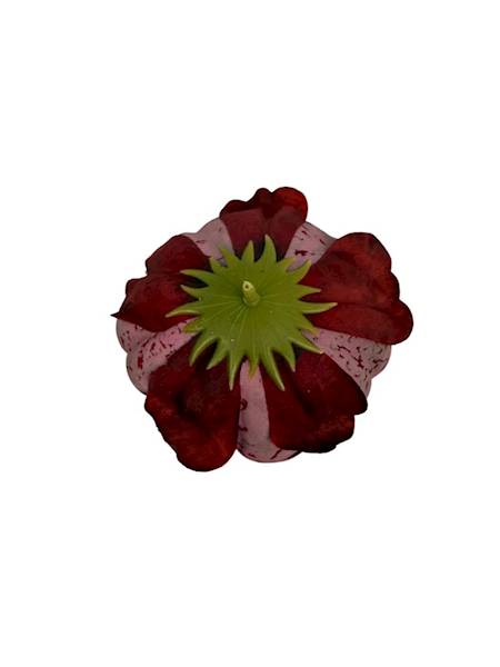 Piwonia główka 9 cm czerwona