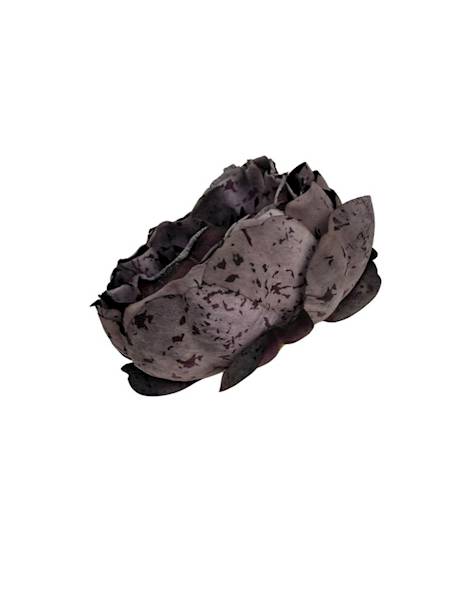 Piwonia główka 9 cm ciemny fiolet