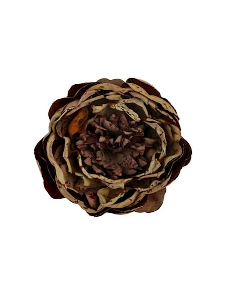 Piwonia główka 9 cm brąz