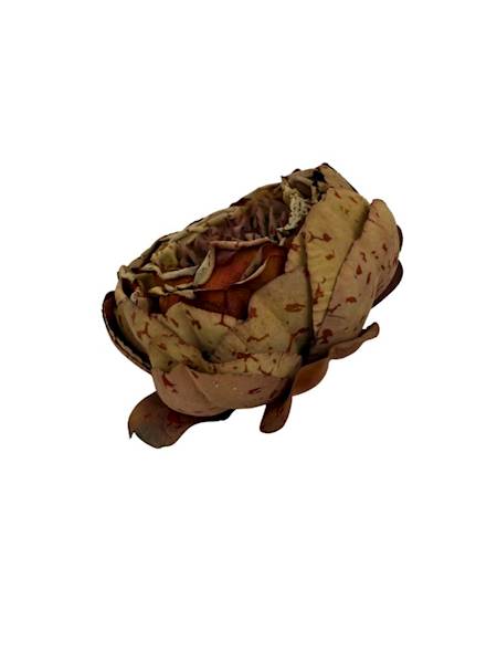 Piwonia główka 9 cm brąz