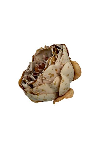 Piwonia główka 9 cm jasny pomarańcz