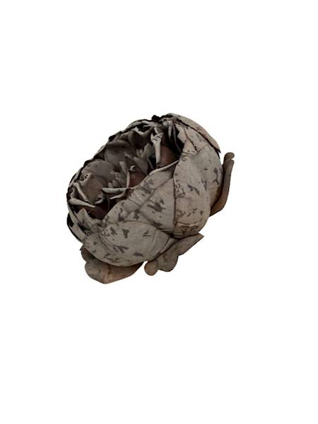 Piwonia główka 9 cm czekoladowa