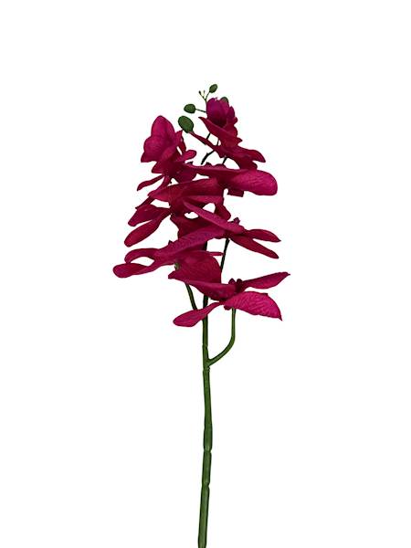 Storczyk gałązka 100 cm mocny róż