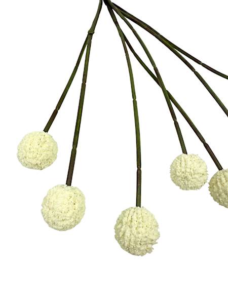 Czosnek gałązka 60 cm kremowy