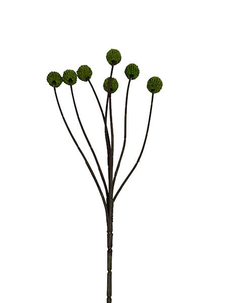 Czosnek gałązka 60 cm zielony