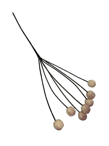 Czosnek gałązka 60 cm krem i brudny róż