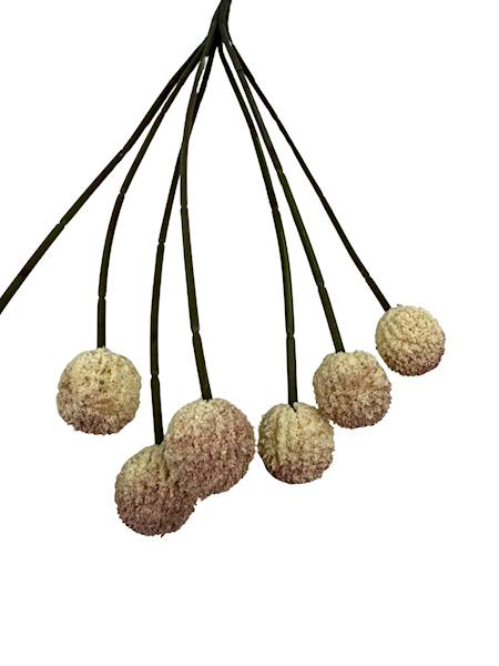 Czosnek gałązka 60 cm krem i brudny róż