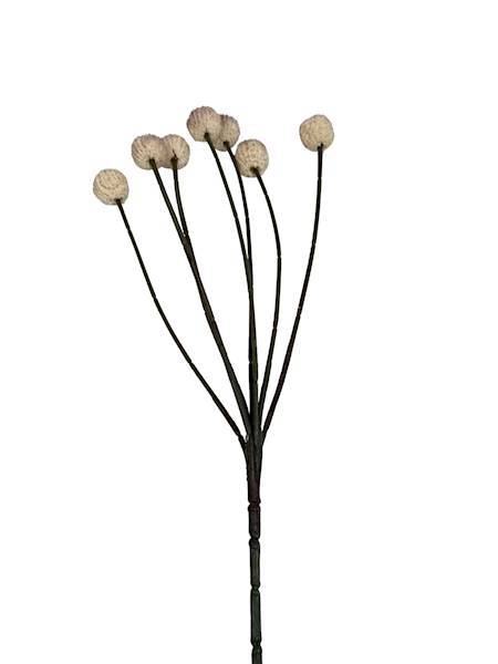 Czosnek gałązka 60 cm krem i brudny róż