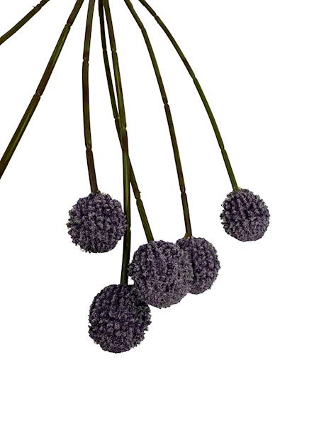 Czosnek gałązka 60 cm fiolet