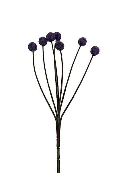 Czosnek gałązka 60 cm fiolet