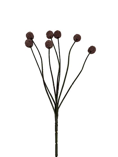 Czosnek gałązka 60 cm brudny róż