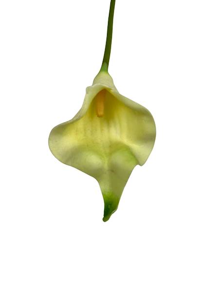 Kalia piankowa gałązka 44 cm jasny żółty