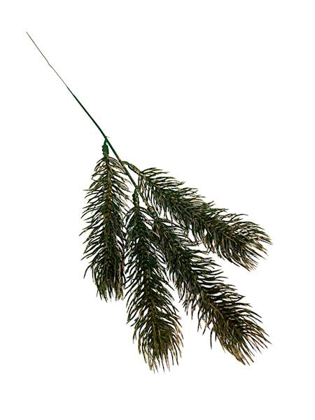 Jodła gałązka zielona pozłacana 35 cm