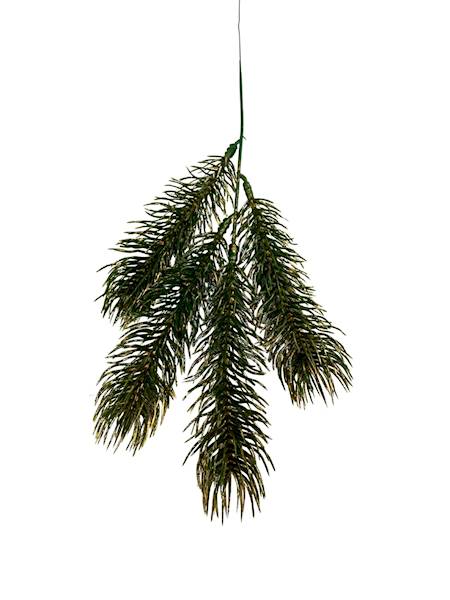 Jodła gałązka zielona pozłacana 35 cm