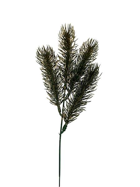 Jodła gałązka zielona pozłacana 35 cm