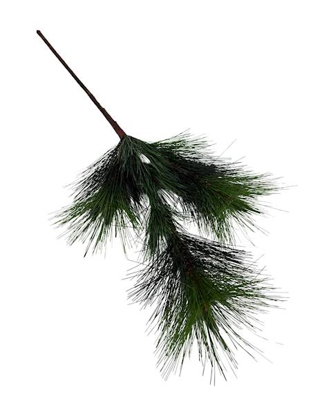 Sosna gałązka 68 cm 