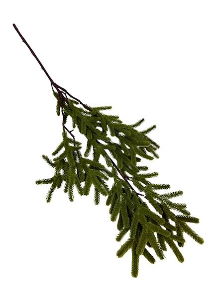 Jodła gałązka 73 cm