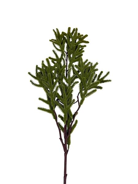 Jodła gałązka 73 cm