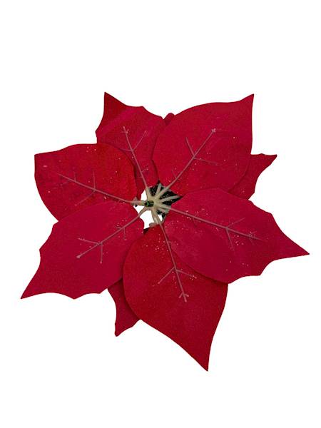 Gwiazda betlejemska 22 cm welurowa czerwona 